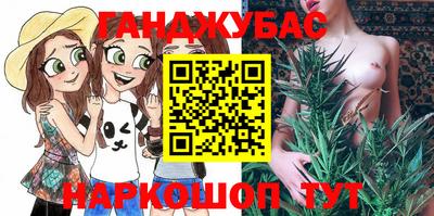 шишки Будённовск