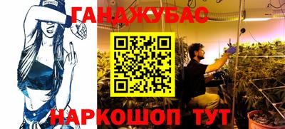 шишки Будённовск