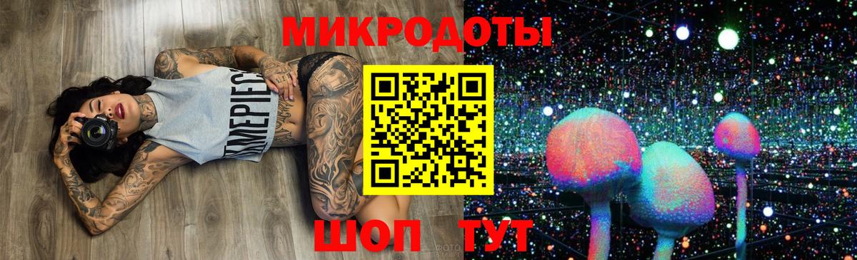 Псилоцибиновые грибы Psilocybine cubensis Тольятти