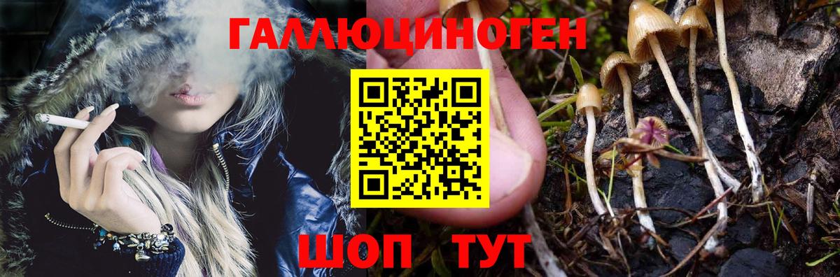 Псилоцибиновые грибы Psilocybe  Вход с VPN  Галлюциногенные грибы Psilocybe  Тольятти 